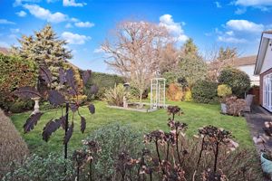 Rear Garden- click for photo gallery